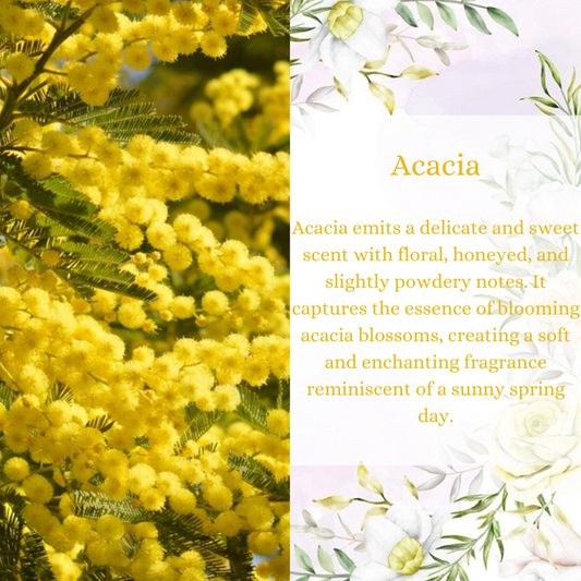 Acacia Premium Fragrance Oil