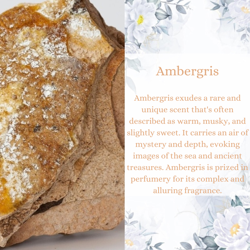 Ambergris Premium Fragrance Oil