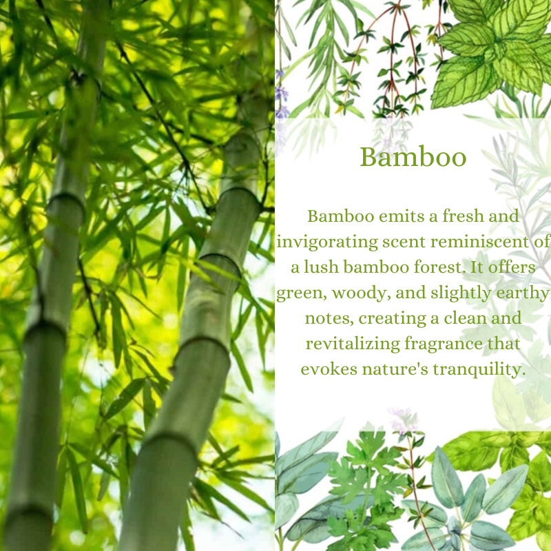 Bamboo Premium Fragrance Oil