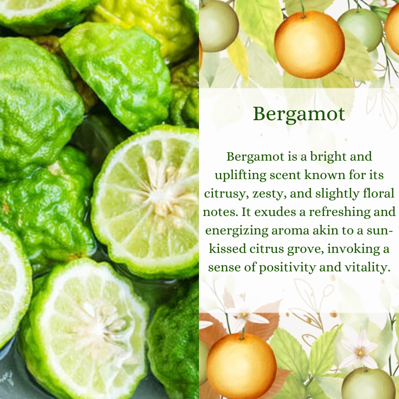 Bergamot Premium Fragrance Oil