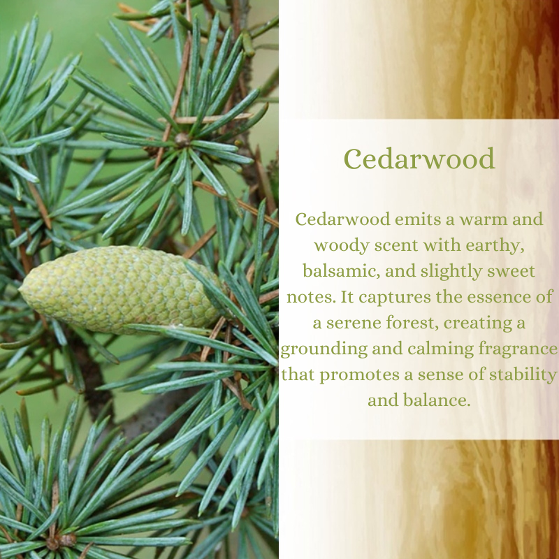 Cedarwood Premium Fragrance Oil