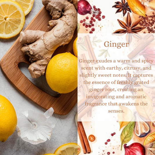 Ginger Premium Fragrance Oil