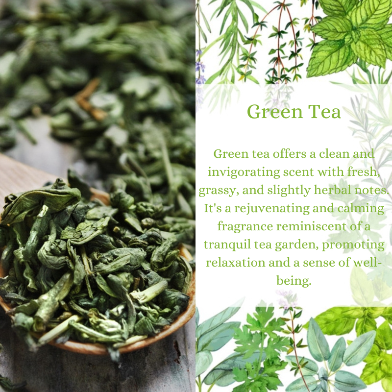 Green Tea Premium Fragrance Oil