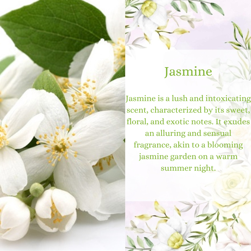 Jasmine Premium Fragrance Oil