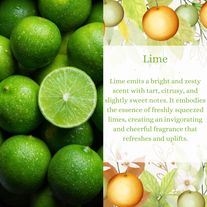 Lime Premium Fragrance Oil