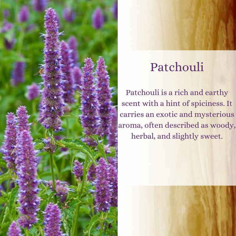 Patchouli Premium Fragrance Oil