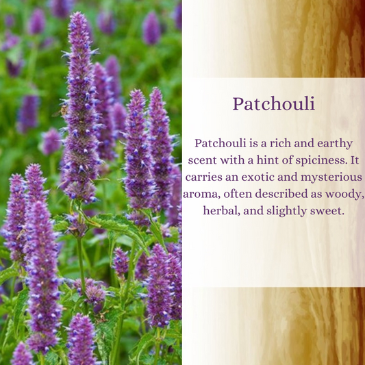 Patchouli Premium Fragrance Oil