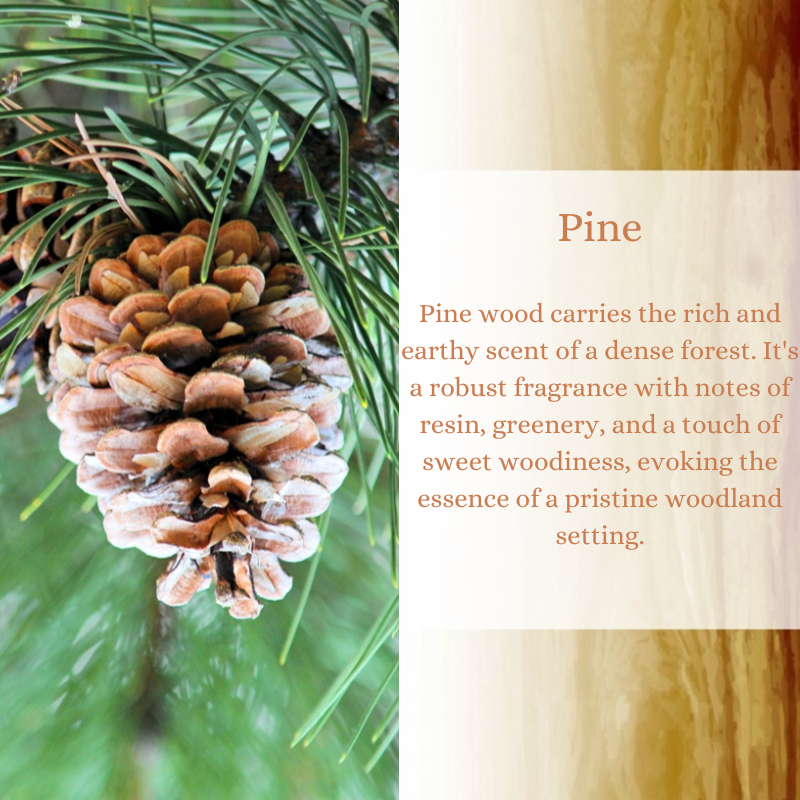 Pine Premium Fragrance Oil