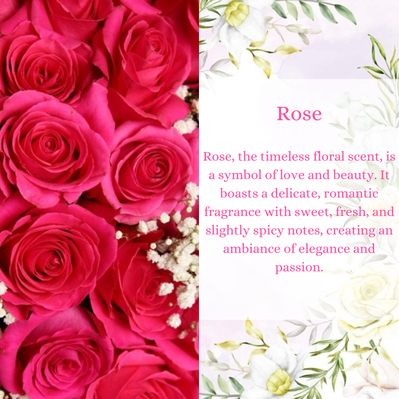 Rose Premium Fragrance Oil