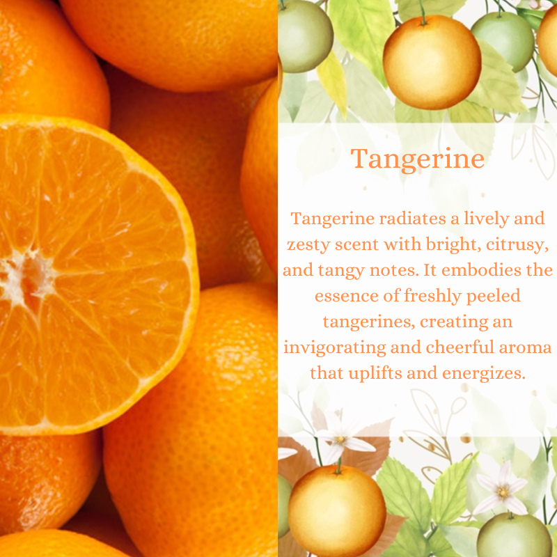 Tangerine Premium Fragrance Oil