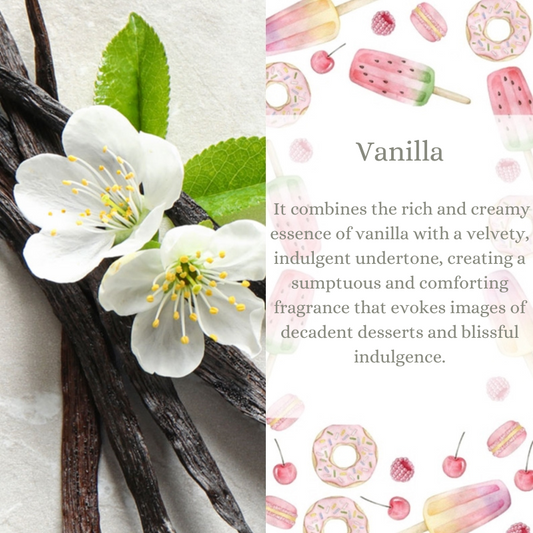 Vanilla Premium Fragrance Oil