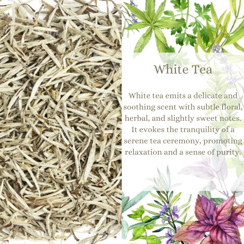 White Tea Premium Fragrance Oil